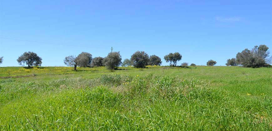 Terreno Edificabile in Vendita a Caltagirone (Catania)