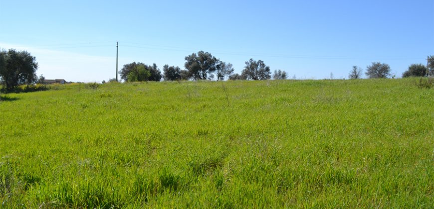 Terreno Edificabile in Vendita a Caltagirone (Catania)