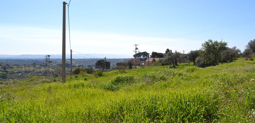 Terreno Edificabile in Vendita a Caltagirone (Catania)