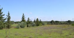 Terreno in Vendita a Caltagirone (Catania)