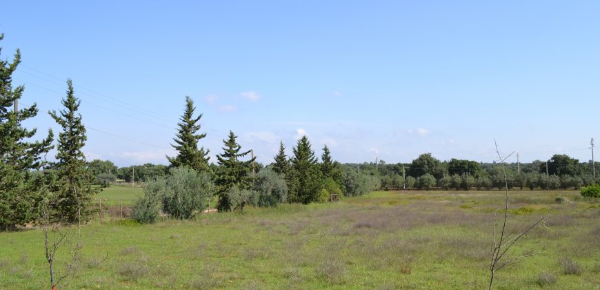 Terreno in Vendita a Caltagirone (Catania)