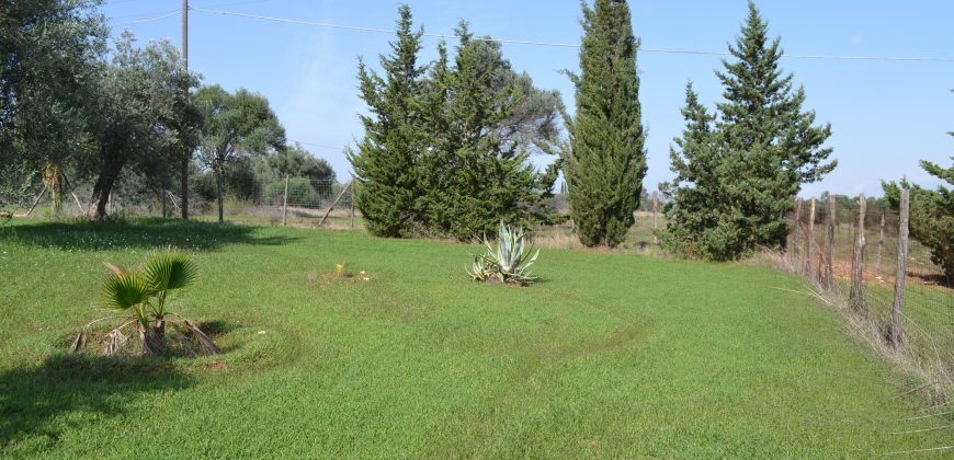 Terreno in Vendita a Caltagirone (Catania)