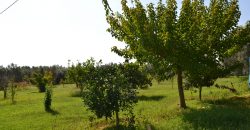 Terreno in Vendita a Caltagirone (Catania)