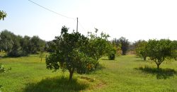 Terreno in Vendita a Caltagirone (Catania)