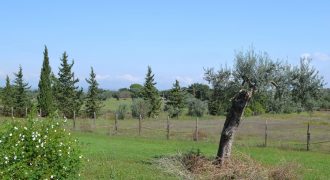 Terreno in Vendita a Caltagirone (Catania)