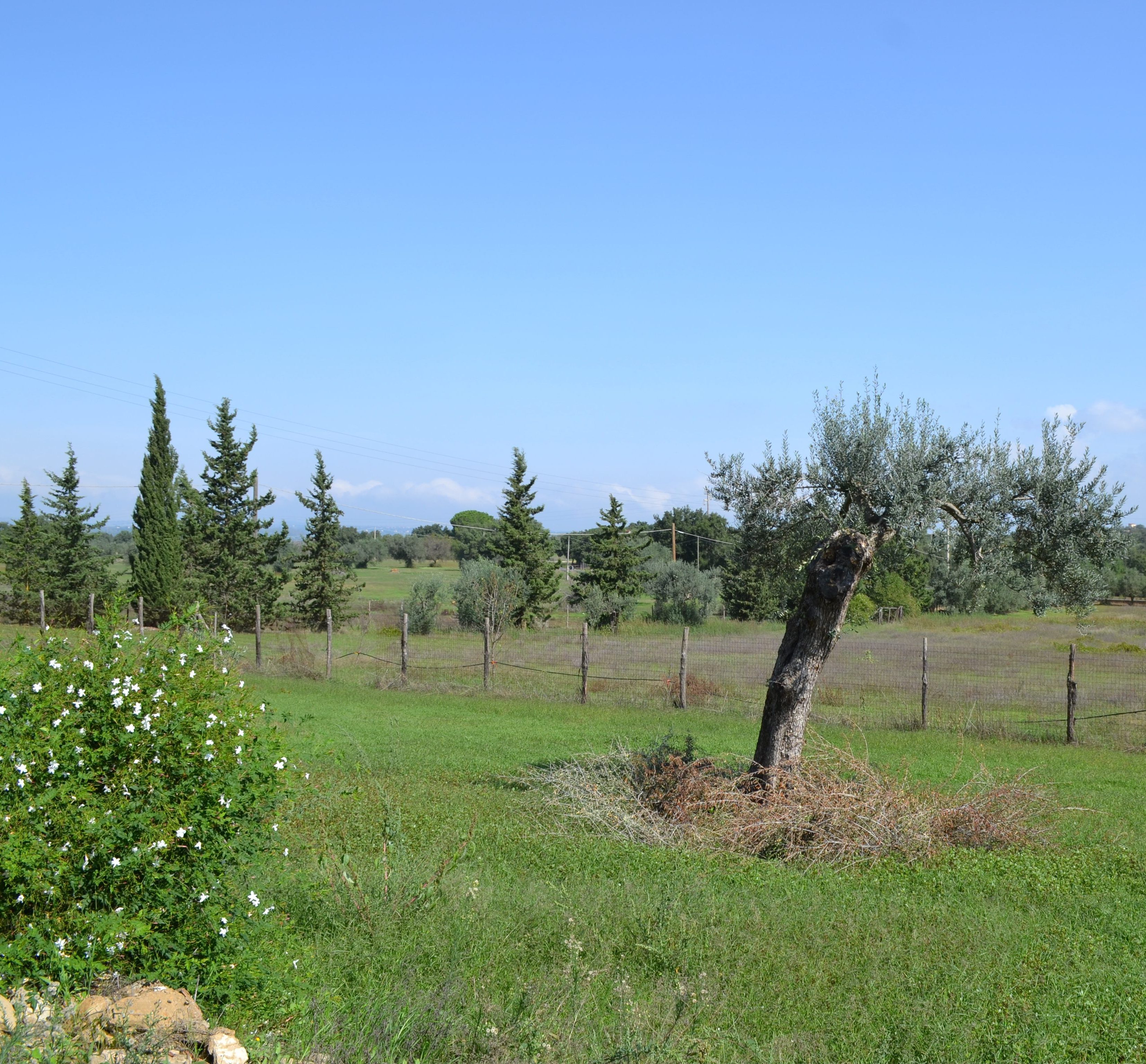 Terreno in Vendita a Caltagirone (Catania)