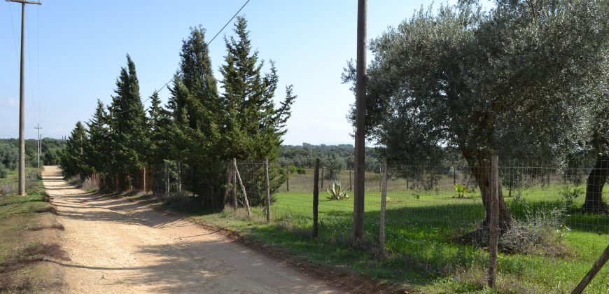 Terreno in Vendita a Caltagirone (Catania)