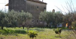 Terreno Agricolo in Vendita a Caltagirone (Catania)