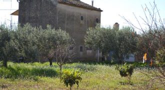 Terreno Agricolo in Vendita a Caltagirone (Catania)