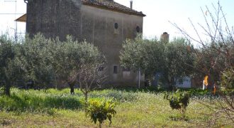 Terreno Agricolo in Vendita a Caltagirone (Catania)