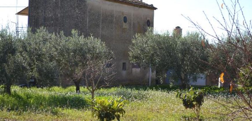 Terreno Agricolo in Vendita a Caltagirone (Catania)