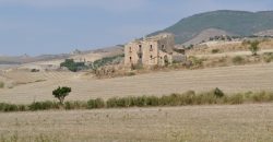 Terreno Agricolo in Vendita a Caltagirone (Catania)