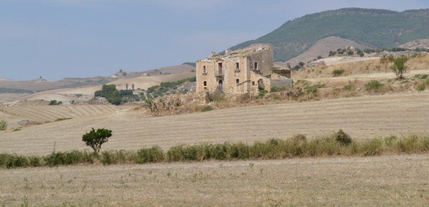 Terreno Agricolo in Vendita a Caltagirone (Catania)