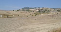 Terreno Agricolo in Vendita a Caltagirone (Catania)