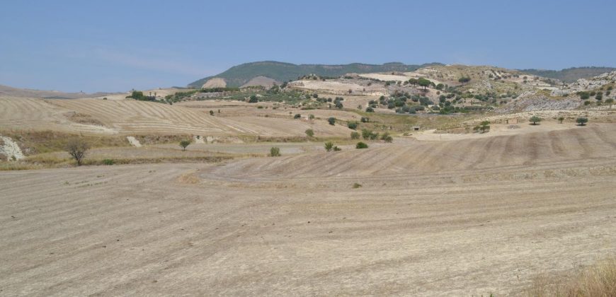 Terreno Agricolo in Vendita a Caltagirone (Catania)