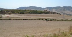 Terreno Agricolo in Vendita a Caltagirone (Catania)