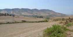 Terreno Agricolo in Vendita a Caltagirone (Catania)