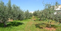 Terreno edificabile in Vendita a Niscemi ( Caltanissetta )