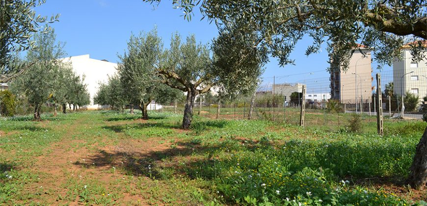 Terreno edificabile in Vendita a Niscemi ( Caltanissetta )