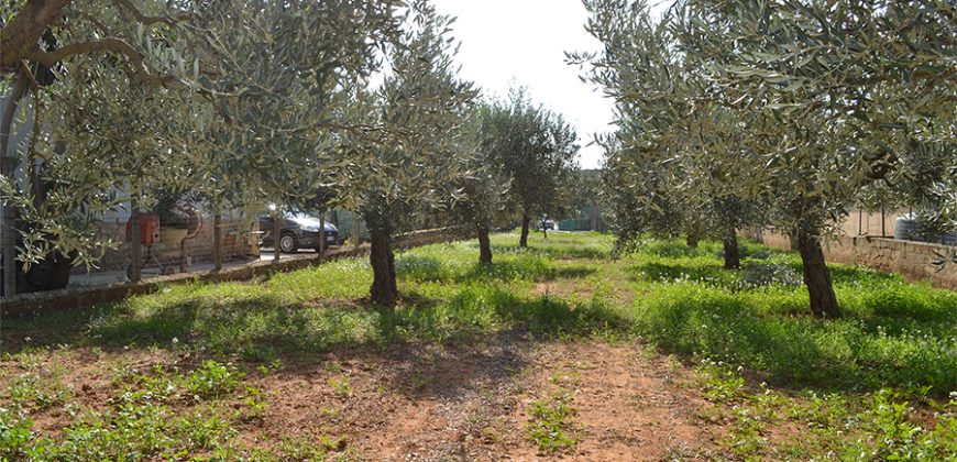 Terreno edificabile in Vendita a Niscemi ( Caltanissetta )