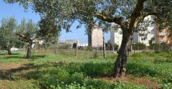 Terreno edificabile in Vendita a Niscemi ( Caltanissetta )