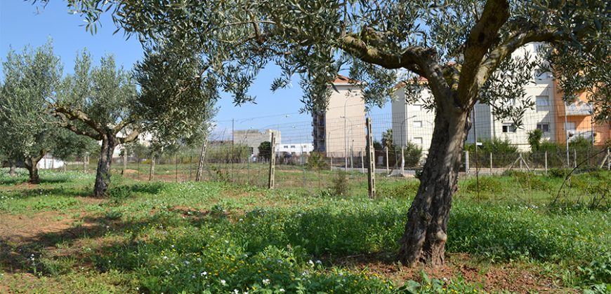 Terreno edificabile in Vendita a Niscemi ( Caltanissetta )