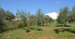 Terreno edificabile in Vendita a Niscemi ( Caltanissetta )