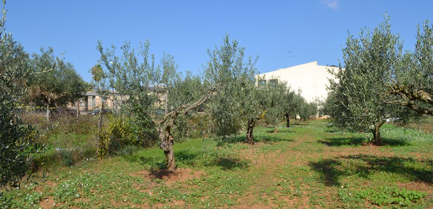 Terreno edificabile in Vendita a Niscemi ( Caltanissetta )