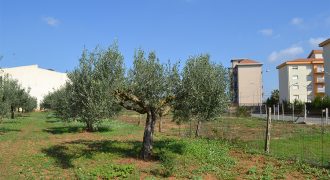 Terreno edificabile in Vendita a Niscemi ( Caltanissetta )