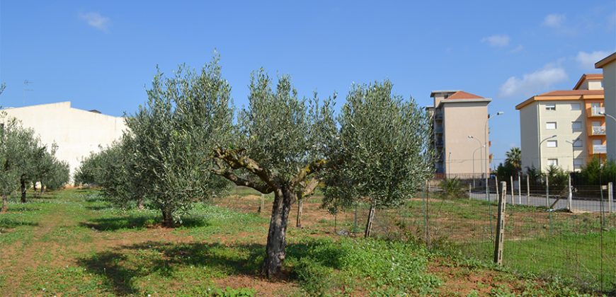 Terreno edificabile in Vendita a Niscemi ( Caltanissetta )