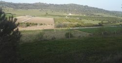 Terreno in Vendita A Niscemi (Caltanissetta)