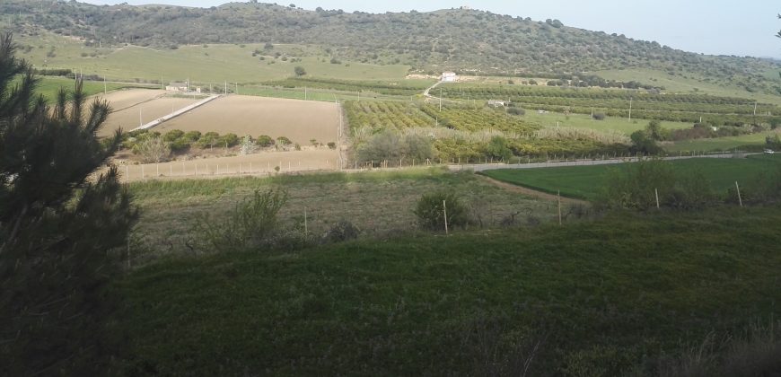 Terreno in Vendita A Niscemi (Caltanissetta)