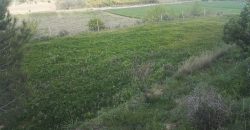 Terreno in Vendita A Niscemi (Caltanissetta)
