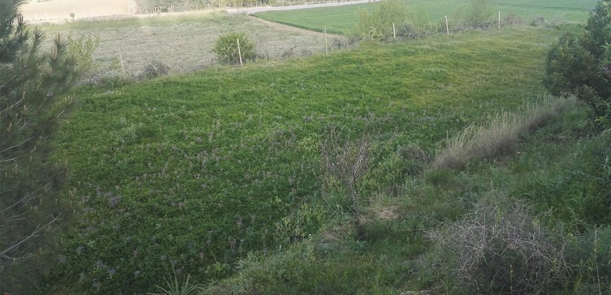 Terreno in Vendita A Niscemi (Caltanissetta)