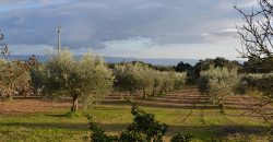 Terreno con Fabbricato in Vendita Caltagirone (Catania)