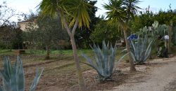 Terreno con Fabbricato in Vendita Caltagirone (Catania)