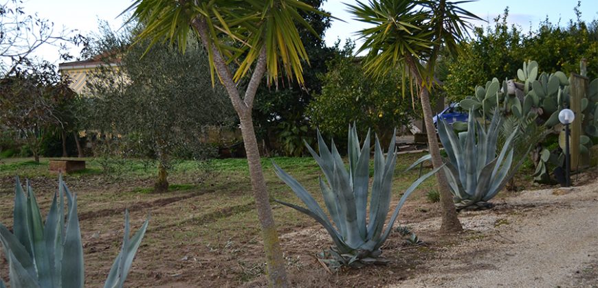 Terreno con Fabbricato in Vendita Caltagirone (Catania)