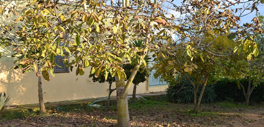 Terreno con Fabbricato in Vendita Caltagirone (Catania)