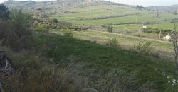 Terreno in Vendita A Niscemi (Caltanissetta)