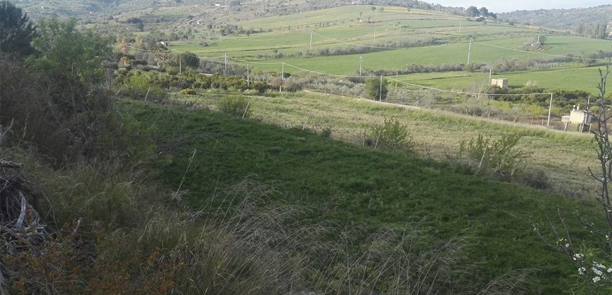 Terreno in Vendita A Niscemi (Caltanissetta)
