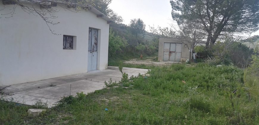 Terreno in Vendita A Niscemi (Caltanissetta)