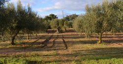 Terreno con Fabbricato in Vendita Caltagirone (Catania)