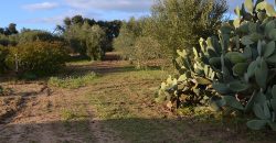 Terreno con Fabbricato in Vendita Caltagirone (Catania)