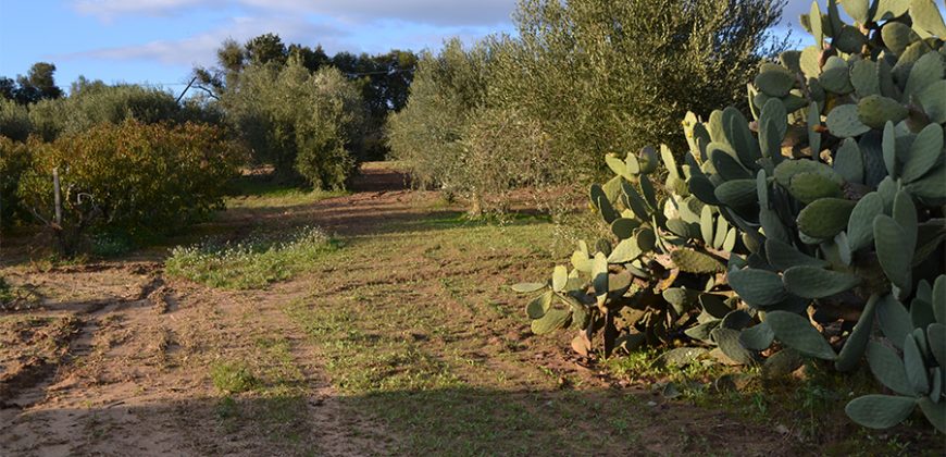 Terreno con Fabbricato in Vendita Caltagirone (Catania)