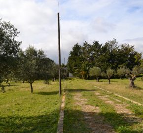 Terreno edificabile in Vendita a Caltagirone (Catania)