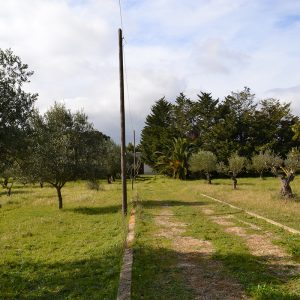 Terreno edificabile in Vendita a Caltagirone (Catania)