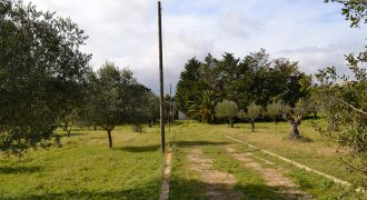 Terreno edificabile in Vendita a Caltagirone (Catania)