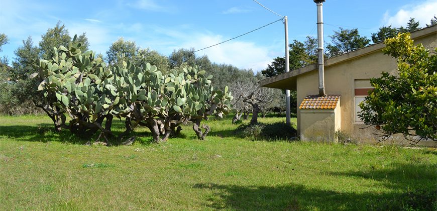 Terreno edificabile in Vendita a Caltagirone (Catania)