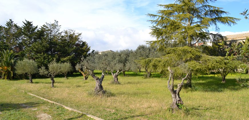 Terreno edificabile in Vendita a Caltagirone (Catania)