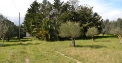 Terreno edificabile in Vendita a Caltagirone (Catania)